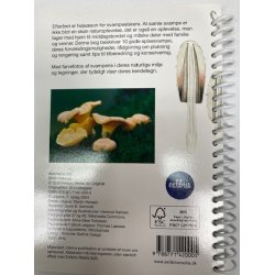 Bog - 10 sikre spisesvampe