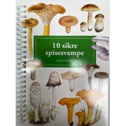 Bog - 10 sikre spisesvampe