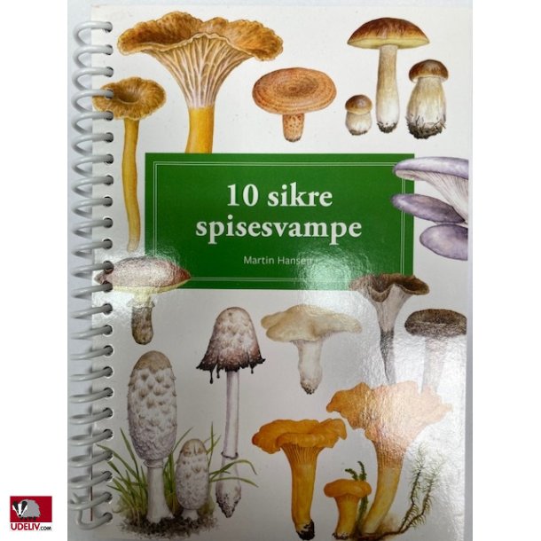 Bog - 10 sikre spisesvampe