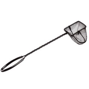 Akvarienet, lngde 31 cm