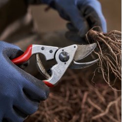 Beskrersaks / Pileflet / Felco / Nr. 14