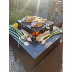 Grillopsats inkl. stegeplade til FIREFRIEND 900 blsystem