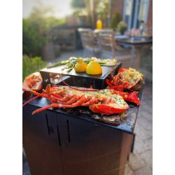 Grillopsats inkl. stegeplade til FIREFRIEND 900 blsystem