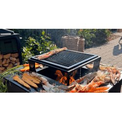 Grillrist i rustfrit stl til Grillopsats til FIREFRIEND 900 blsystem