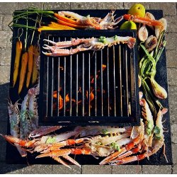 Grillrist i rustfrit stl til Grillopsats til FIREFRIEND 900 blsystem