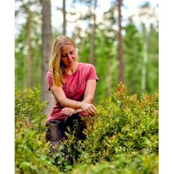 Pinewood Kronhjort Dame T-shirt Red Deer Women