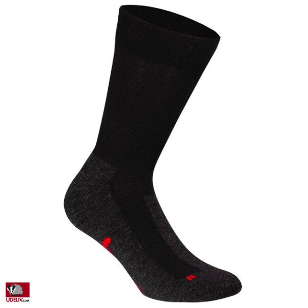 Pinewood Trekking Merino Socks - Long