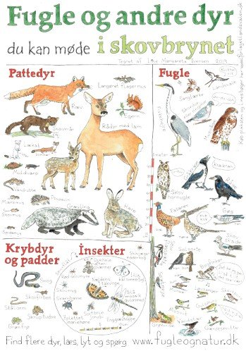 Henholdsvis stille Den sandsynlige Plakat - Fugle og andre dyr - A2 eller A3 - Naturplakater - Udeliv.com