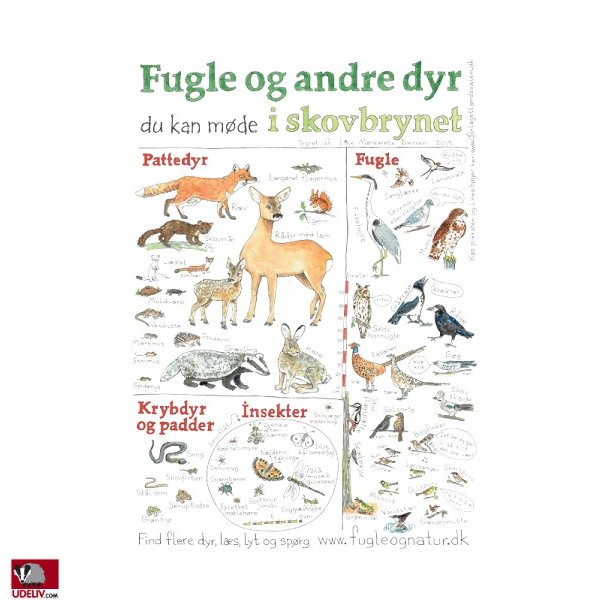 Plakat - Fugle og andre dyr - A2 eller A3