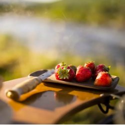 Sideborde i tr til blpande 60 blsted - Espegard