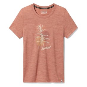 Smartwool Women's Sage Plant Grap Dame T-shirt med merinould