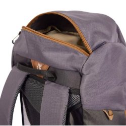 Trespass Pass 35 rygs�k