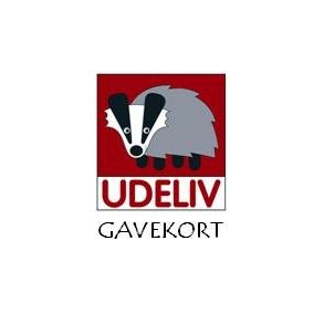 Gavekort til fysisk butik - 100 kr